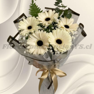 Ramo de 5 gerberas, follaje ilusión y delicado envoltorio