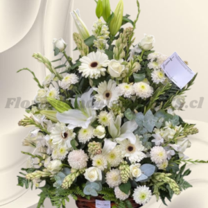 Arreglo fúnebre para condolencias en mix flores de temporada