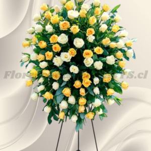 Ovalo o lagrimal floral en 50 rosas importadas, colores a elección