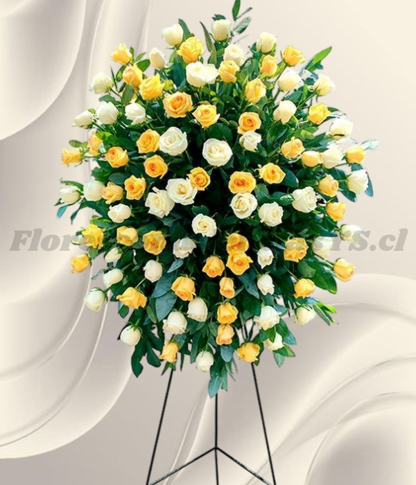 Ovalo o lagrimal floral en 50 rosas importadas, colores a elección