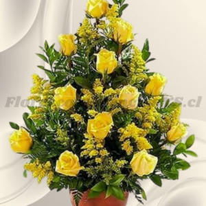 Arreglo para condolencias en 12 rosas importadas naturales
