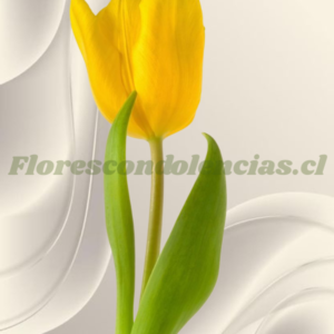 Tulipan amarillo para adicional