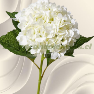 Hortensia